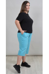 Бриджи Бр-126-5